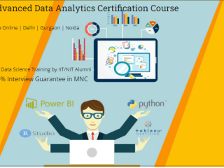 the-evolving-role-of-data-analyst-why-learning-data-analyst-in-2025-matters-100-job-in-mnc-data-analyst-course-in-delhi