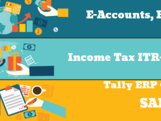 the-evolving-role-of-accountants-why-learning-accounting-in-2025-matters-100-job-accounting-certification-course-in-delhi