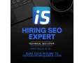 hiring-a-seo-expert-small-0