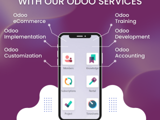 hire-odoo-developers-to-transform-your-business-with-onestopda