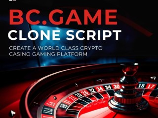 bcgame-clone-script-your-ticket-to-the-thriving-crypto-casino-market