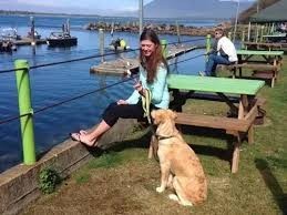 dog-care-belmont