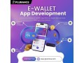 get-plurance-ready-made-e-wallet-app-with-our-development-solution-small-0